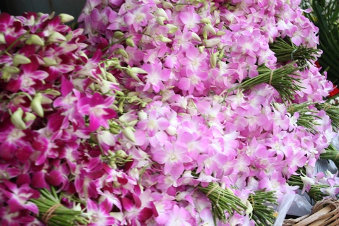 bangkok-flower-market-flowers-1