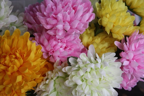 bangkok-flower-market-flowers-10