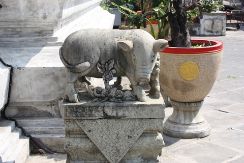 bangkok-wat-arun-small-pig-statue